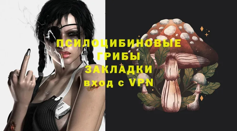 Псилоцибиновые грибы Psilocybe  блэк спрут онион  Кыштым 